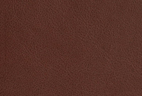 Dark brown aniline leather
