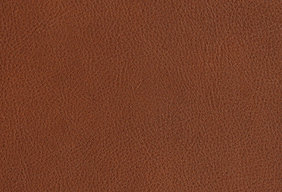 Light brown aniline leather